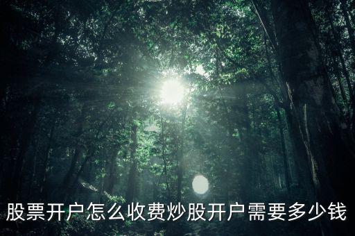 股票開戶多少錢起,股票開戶怎么收費(fèi)