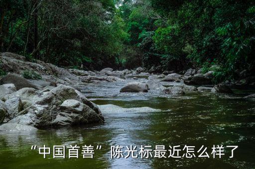 “中國首善”陳光標最近怎么樣了