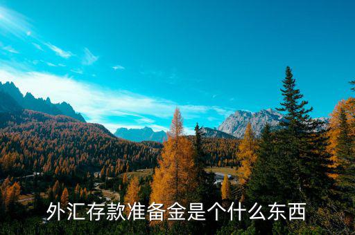 存款準(zhǔn)備金是什么,外匯存款準(zhǔn)備金是個什么東西