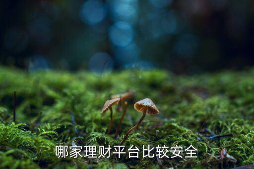 什么理財(cái)比較安全,哪家理財(cái)平臺比較安全