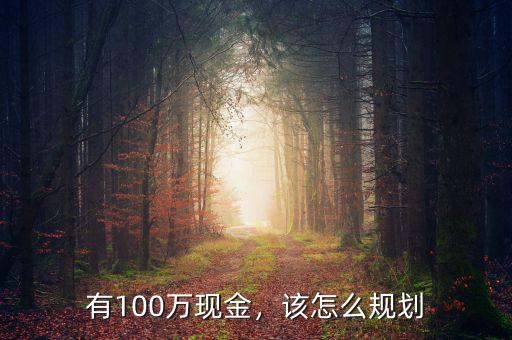 有100萬現(xiàn)金，該怎么規(guī)劃