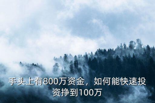 手頭上有800萬(wàn)資金，如何能快速投資掙到100萬(wàn)