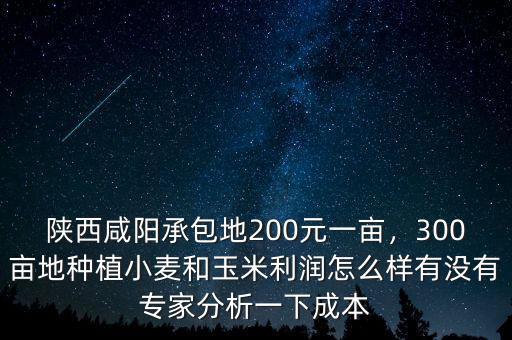 陜西咸陽承包地200元一畝，300畝地種植小麥和玉米利潤怎么樣有沒有專家分析一下成本