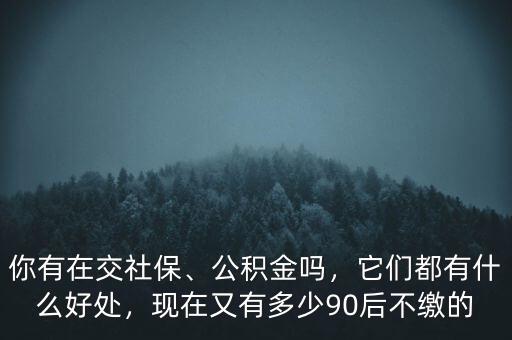 90后有多少不愿交社保得,你有在交社保