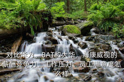 對(duì)比華為、BAT和大華，?？低暤男匠旮?jìng)爭(zhēng)力、工作壓力、員工滿意度怎么樣