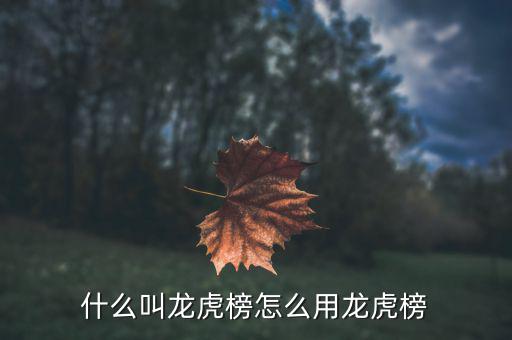 為什么叫龍虎榜,什么叫龍虎榜