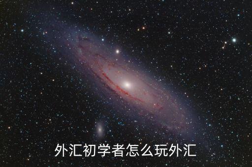 外匯初學者怎么玩外匯