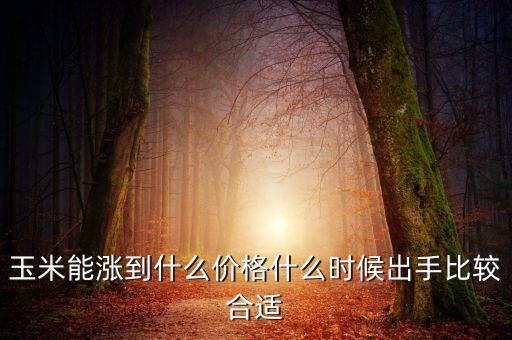 玉米能漲到什么價格什么時候出手比較合適