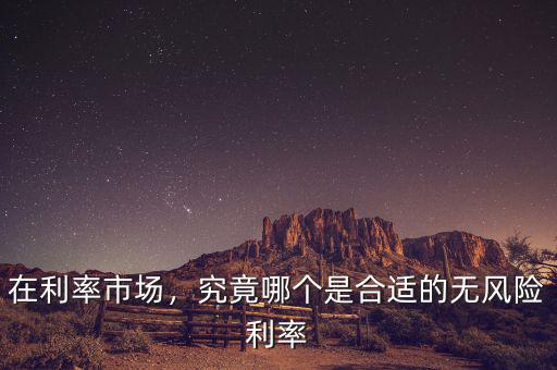 什么是無(wú)風(fēng)險(xiǎn)利率,什么是無(wú)風(fēng)險(xiǎn)利率