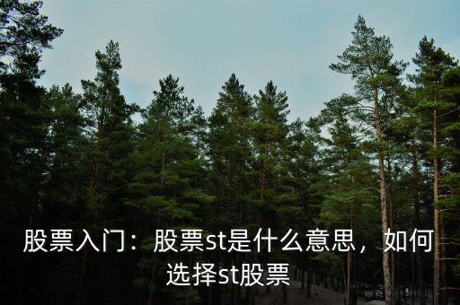 st表示什么意思,有什么區(qū)別嗎