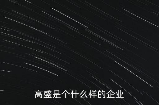 高盛是個什么樣的企業(yè)