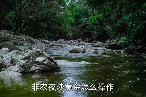 非農(nóng)夜炒黃金怎么操作