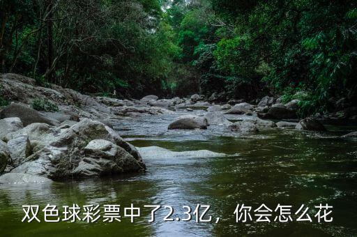 雙色球彩票中了2.3億，你會(huì)怎么花