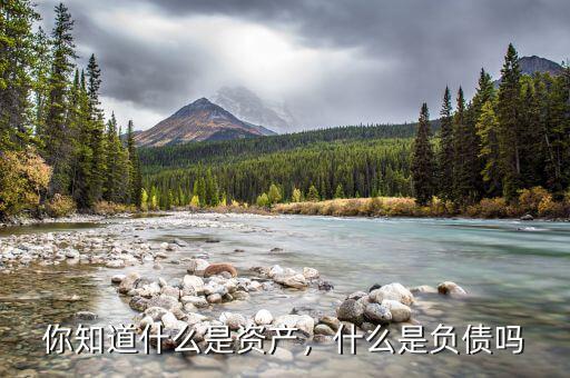 你知道什么是資產(chǎn)，什么是負(fù)債嗎