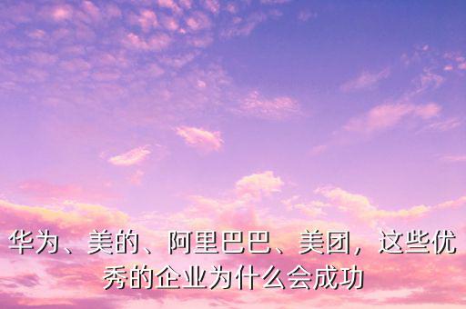 華為、美的、阿里巴巴、美團，這些優(yōu)秀的企業(yè)為什么會成功