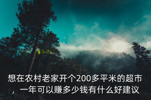 想在農(nóng)村老家開個200多平米的超市，一年可以賺多少錢有什么好建議