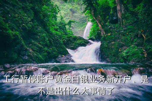 工行暫停賬戶黃金白銀業(yè)務新開戶、是不是出什么大事情了