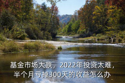 基金市場大跌，2022年投資太難，半個月虧掉300天的收益怎么辦