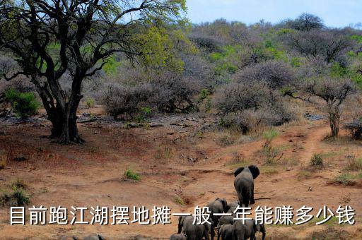 目前跑江湖擺地?cái)傄话阋荒昴苜嵍嗌馘X