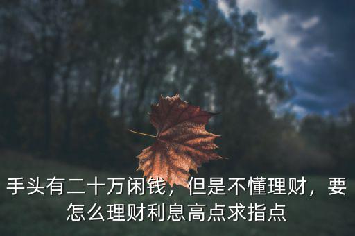 手頭有二十萬閑錢，但是不懂理財，要怎么理財利息高點求指點