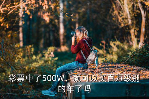 我中了6000萬買什么車,要是彩票中了300萬