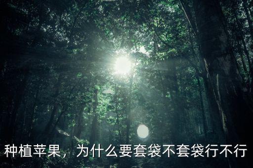 種植蘋(píng)果，為什么要套袋不套袋行不行