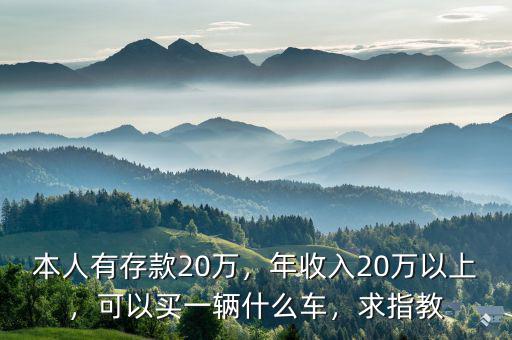 本人有存款20萬，年收入20萬以上，可以買一輛什么車，求指教