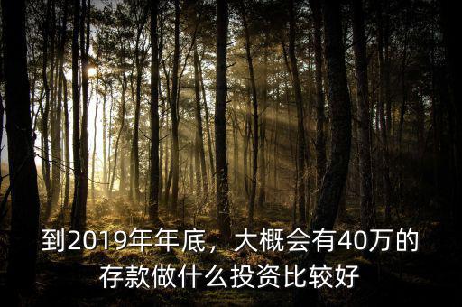 到2019年年底，大概會有40萬的存款做什么投資比較好