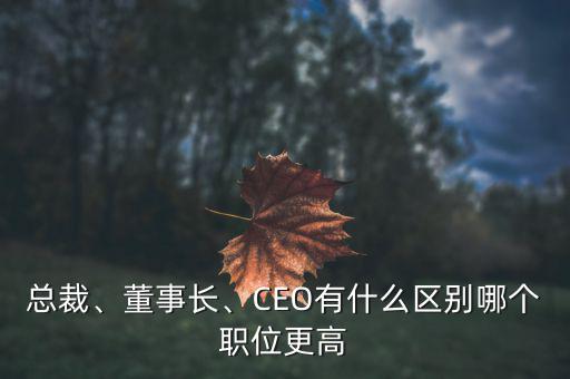 總裁、董事長(zhǎng)、CEO有什么區(qū)別哪個(gè)職位更高