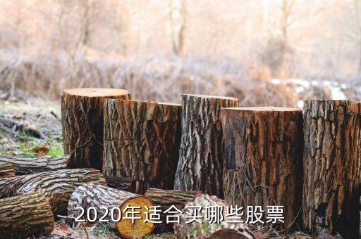 2020年適合買(mǎi)哪些股票