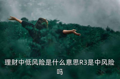 理財中低風(fēng)險是什么意思R3是中風(fēng)險嗎