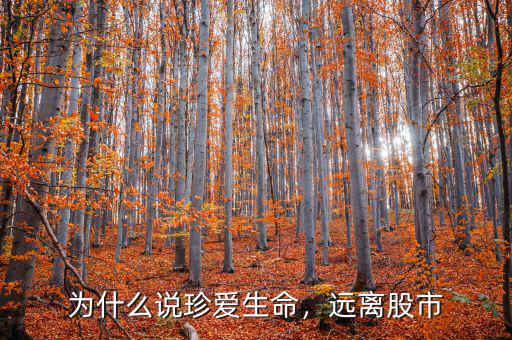 為什么說珍愛生命，遠(yuǎn)離股市