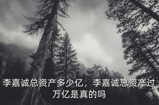 李嘉誠總資產(chǎn)多少億，李嘉誠總資產(chǎn)過萬億是真的嗎