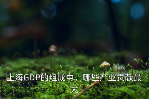 上海GDP的組成中，哪些產(chǎn)業(yè)貢獻最大