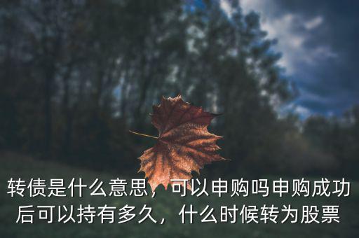 轉(zhuǎn)債是什么意思，可以申購嗎申購成功后可以持有多久，什么時(shí)候轉(zhuǎn)為股票