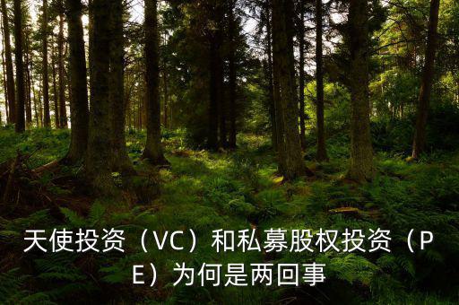 天使投資（VC）和私募股權(quán)投資（PE）為何是兩回事