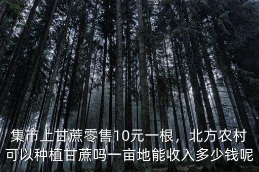 集市上甘蔗零售10元一根，北方農(nóng)村可以種植甘蔗嗎一畝地能收入多少錢呢