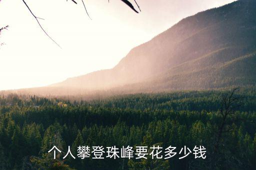 珠峰登山證多少錢,個人攀登珠峰要花多少錢