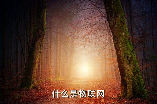 什么叫物聯(lián)網(wǎng)基金,物聯(lián)網(wǎng)技術到底是什么技術