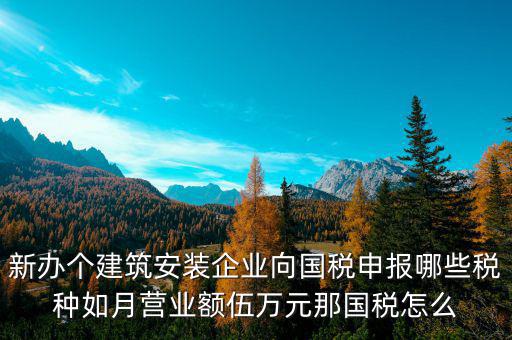 新辦個(gè)建筑安裝企業(yè)向國稅申報(bào)哪些稅種如月營業(yè)額伍萬元那國稅怎么