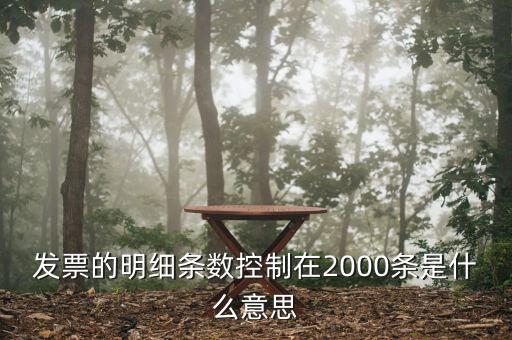 發(fā)票明細什么意思，發(fā)票的明細條數控制在2000條是什么意思