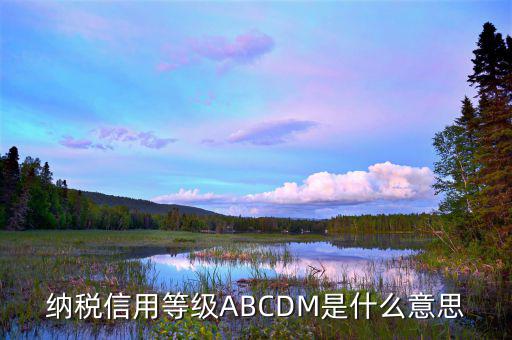 江蘇國稅信用評級是什么，納稅信用等級ABCDM是什么意思