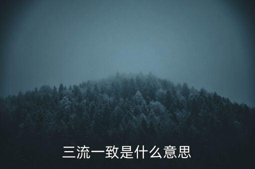 發(fā)票 流向一致是什么意思，發(fā)票四流一致是哪四流