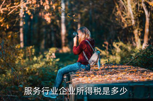 什么是接受服務(wù)企業(yè)所得稅，服務(wù)行業(yè)企業(yè)所得稅是多少