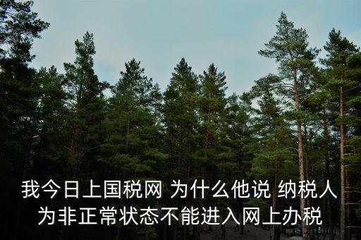 我今日上國稅網(wǎng) 為什么他說 納稅人為非正常狀態(tài)不能進入網(wǎng)上辦稅