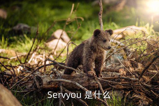 servyou是什么意思，Servyou 是什么