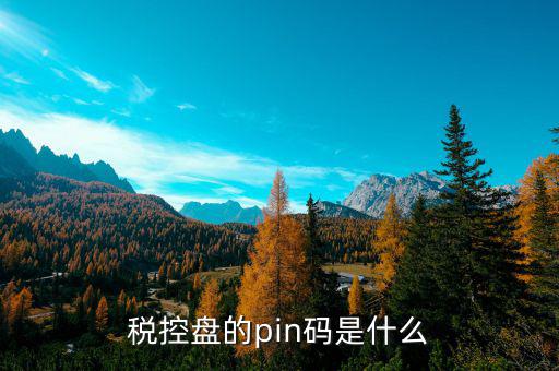 稅控盤(pán)的pin碼是什么