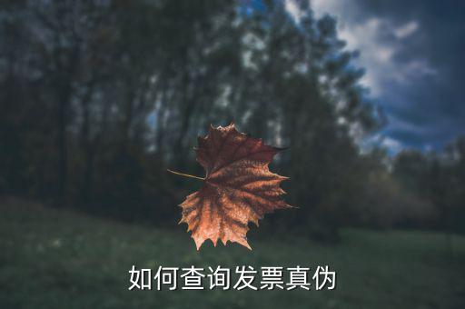 查驗(yàn)發(fā)票需要什么信息，發(fā)票怎么去稅務(wù)局驗(yàn)證需要什么資料