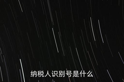 電子稅務局納稅人識別號是什么，納稅人識別號是什么