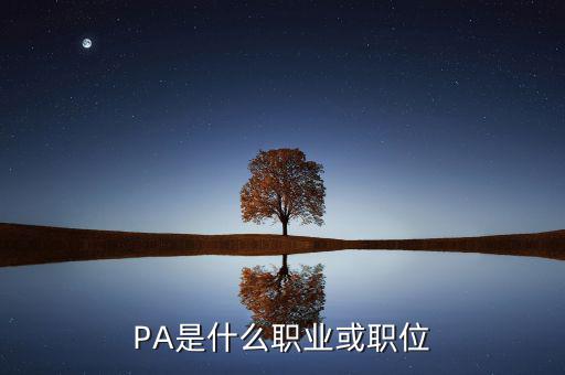 河南省國稅局陳紅偉什么職務(wù)，PA是什么職業(yè)或職位